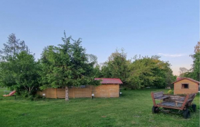 Amazing Home In Rekowo